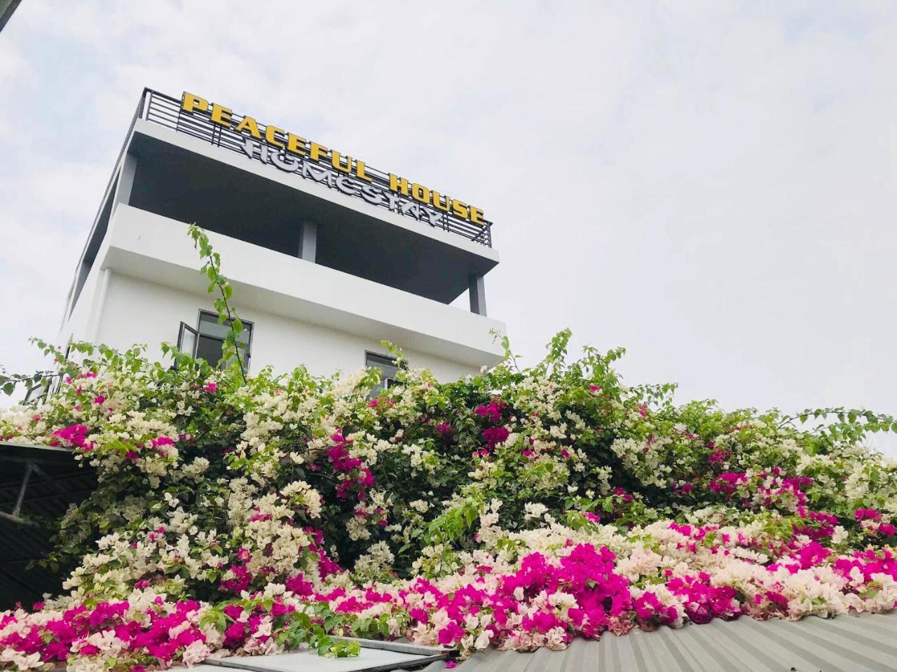 Peaceful House Hostel 동허이 외부 사진